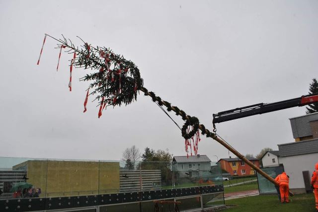 Maibaum aufstellen 2017