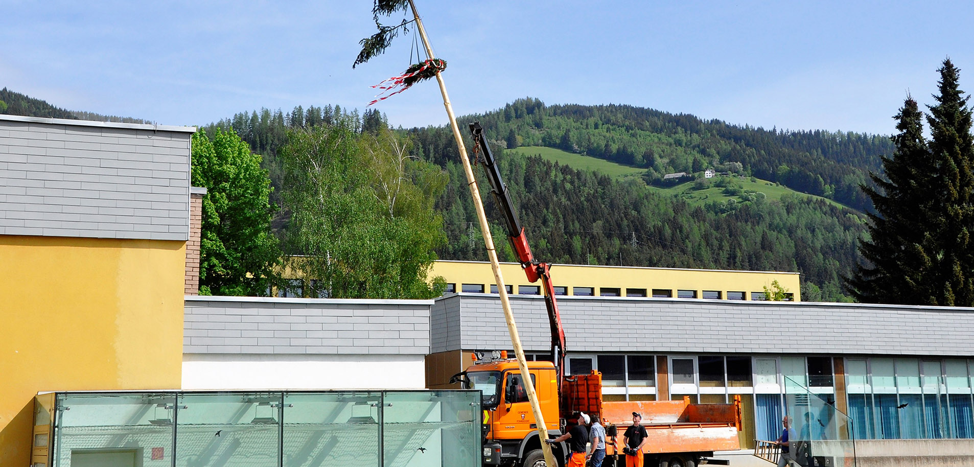 Der Baum wird aufgestellt